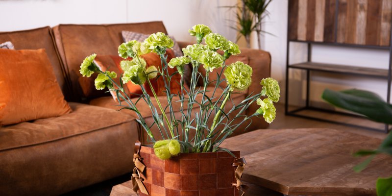 Trendy Dianthus voor ieder interieur