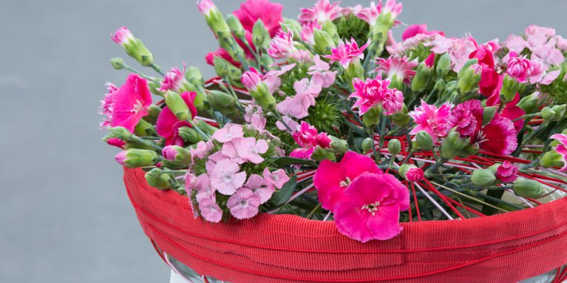 Florale jam sessies bij HilverdaKooij tijdens Flower Trials