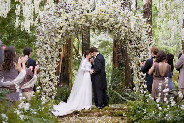 Twilight Saga