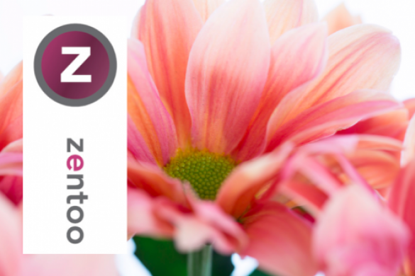 LZ webshop