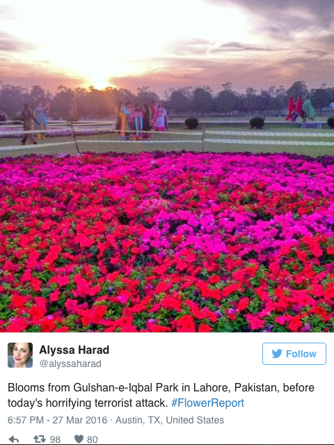 Schermafbeelding 2016 09 05 om 08.46.18