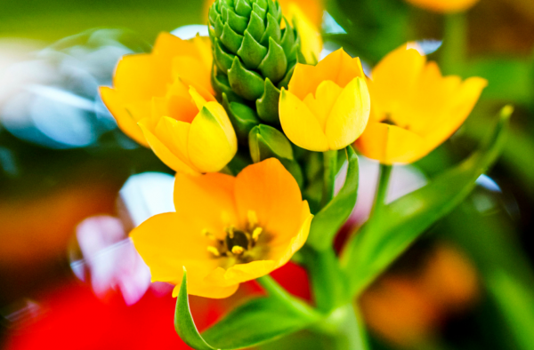 Schermafbeelding 2016 03 28 om 16.30.53