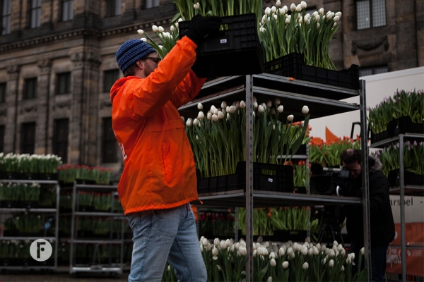Tulpevent flowerfactor12