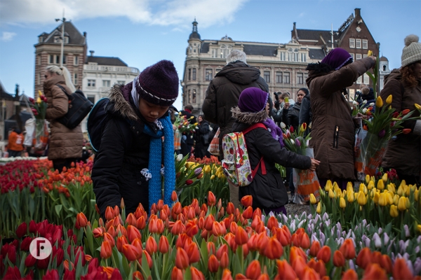 Tulpevent flowerfactor5