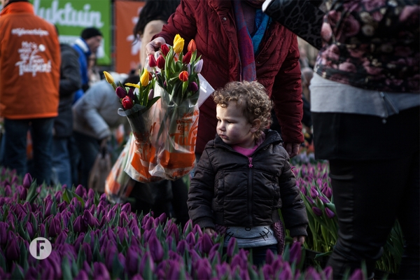 Tulpevent flowerfactor7