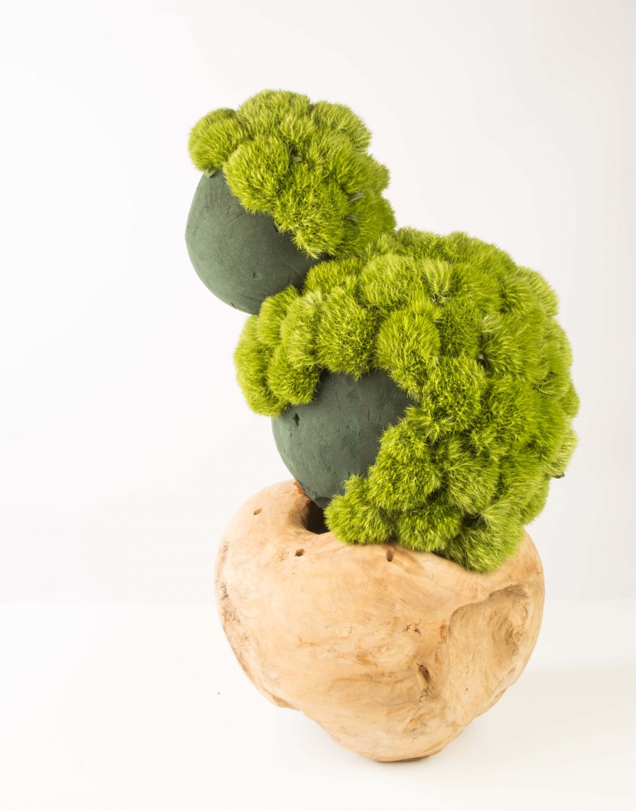 stap 1 Green Trick steken