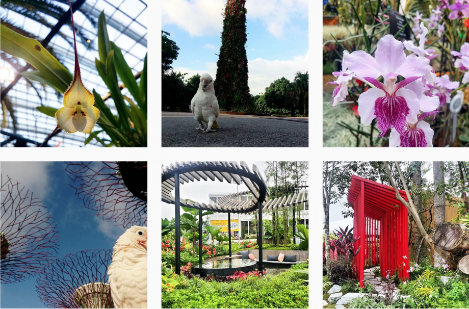 Schermafbeelding 2016 07 27 om 11.50.30