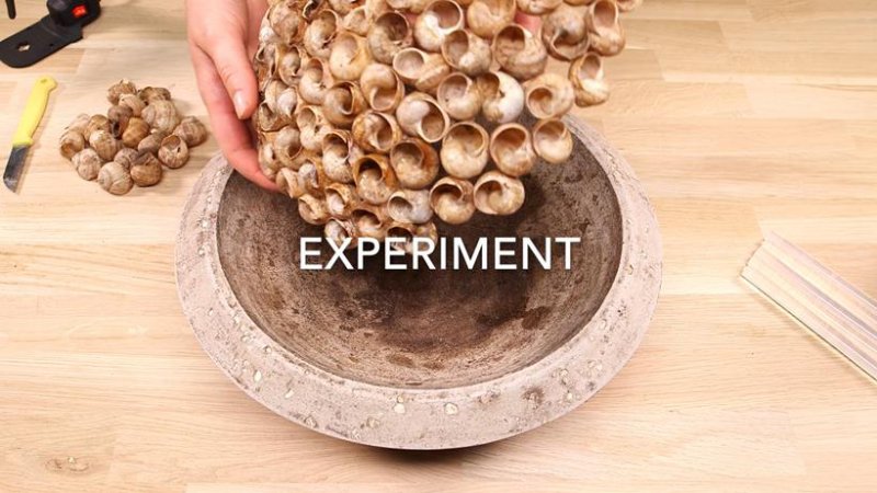 OEP2ENGscreenshot experiment.141809