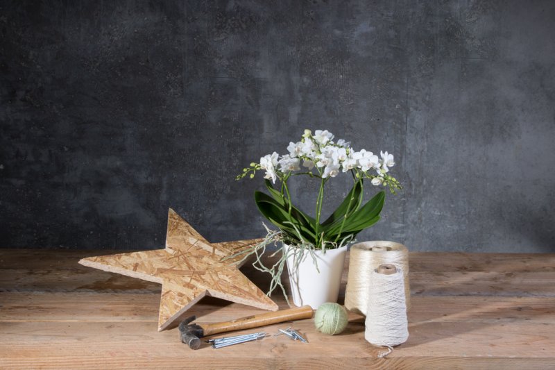 photo tutorial Winter orchid arrangement materials