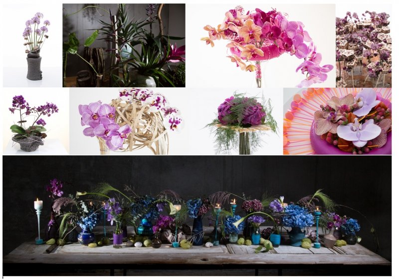 Pantone 2018 voorbeelden