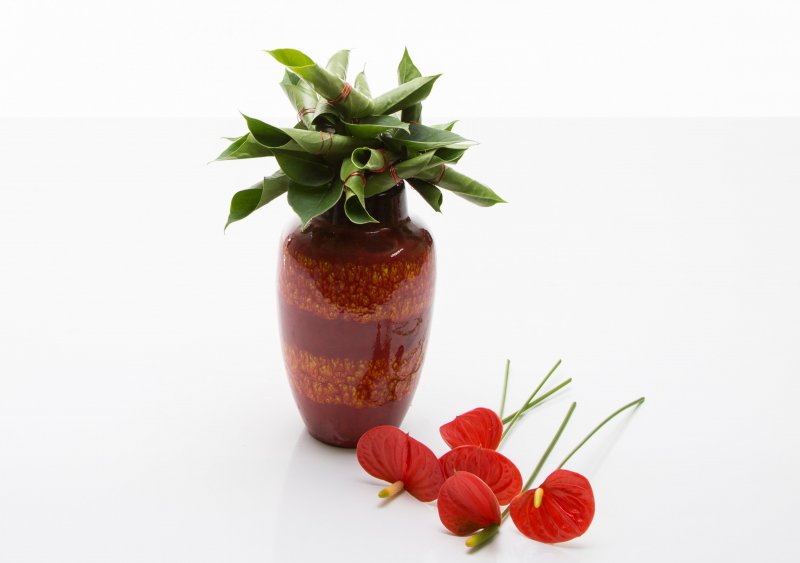 sbs Anthurium plant turns flower arrangement5