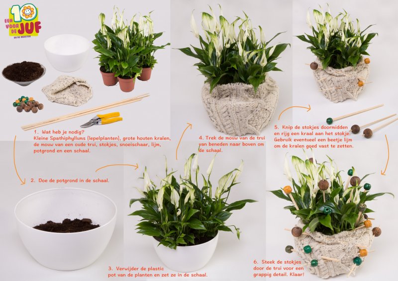 stap voor stap een 10 voor de juf lepelplanten2
