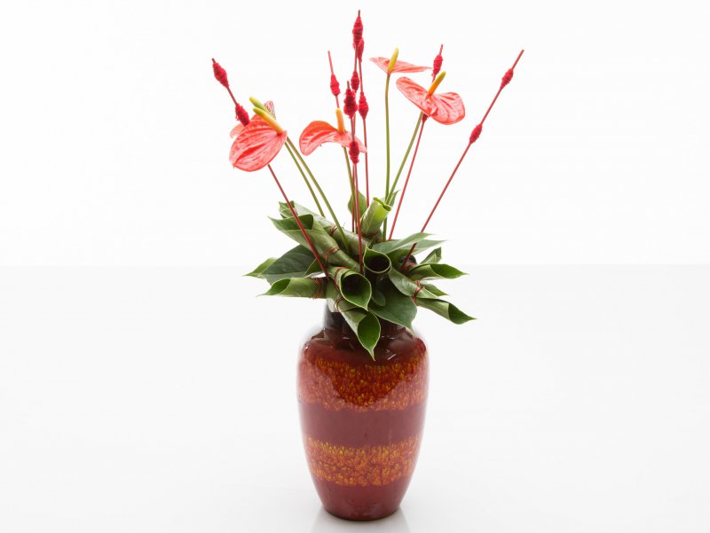 sbs Anthurium plant turns flower arrangement7