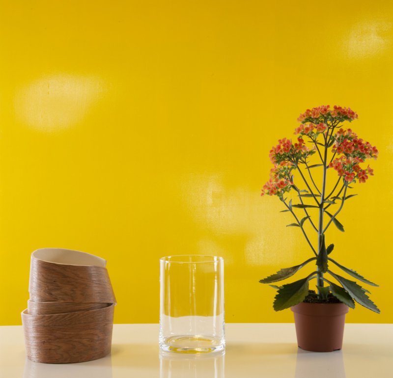 AlwaysKalanchoe Extra SBS Orange Easy s1