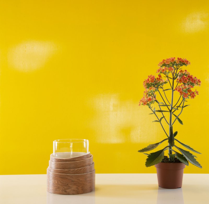 AlwaysKalanchoe Extra SBS Orange Easy s2