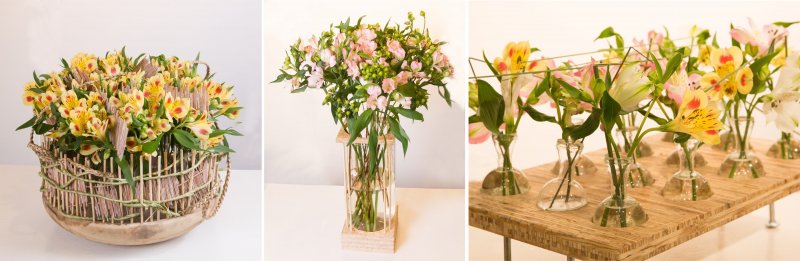 Alstroemeria promotie groep IPM