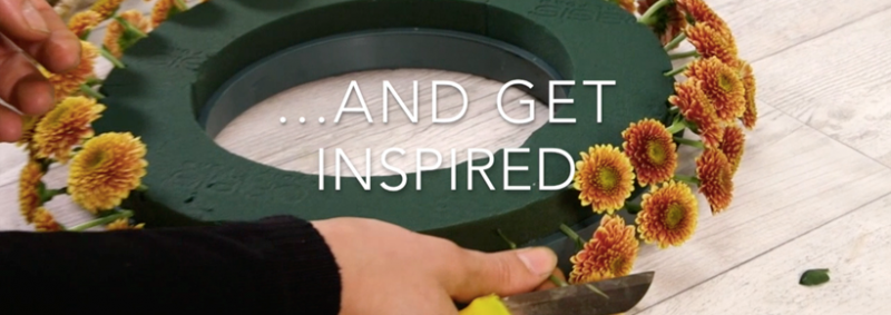 online education program 2