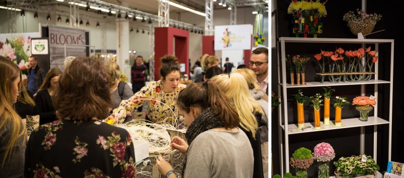 Workshop en stand IPM