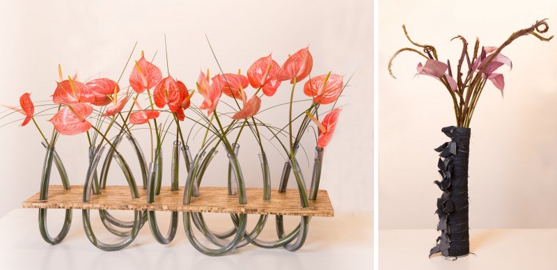 Anthurium promotie groep IPM