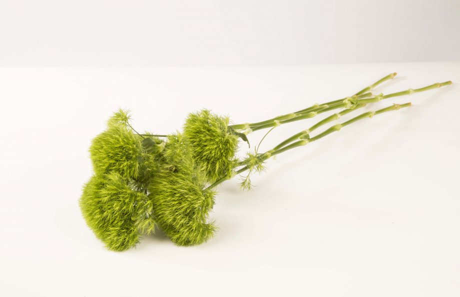 componenten Green Trick