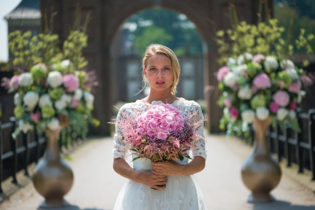 iap 2dezign hydrangea 6456