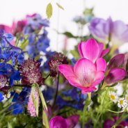 Freestyle Freesia field bouquet close-up