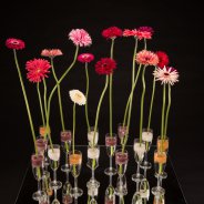 Mix Mini Gerbera Kerstdecoratie