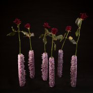 Black Baccara voor kerst