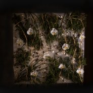 Christmas decoration with foliage