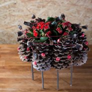 Kalanchoe pine cone design Roos van Unen Flower factor Always kalanchoe