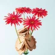 Simpel Moederdag idee met mini Gerbera's