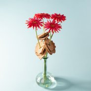 Moederdag idee met Mi Queeni Juliëtte