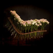 bed of spray roses 2