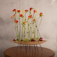 Feestelijk Freesia frame als kerstbloemwerk