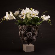 Christmas orchid design - Roos van Unen Flower Factor