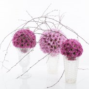 Prada Sweet and Softone Zentoo design by Pim van den Akker Flower Factor