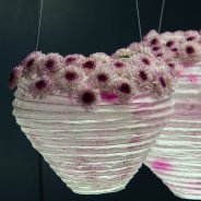 Lanterns with Chrysanthemum Abbey Limited Edition 1 by Zentoo close-up