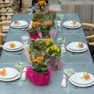 Table decoration with Kalanchoe  - inside