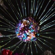 #TrendyDianthus design by Roos van Unen Flower Factor