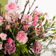 Exuberant pink Dianthus bouquet for Mothers Day