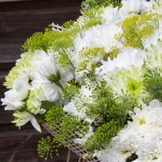Fresh Chrysanthemum bouquets close-up