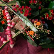 Kalanchoe design by Roos van Unen Flower Factor Always Kalanchoe2