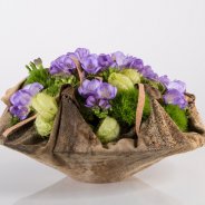 Een schaal met Freesia