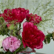 Mix van pioenen in een Italiaanse vaas detail