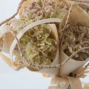 Dianthus in houten kegels close-up