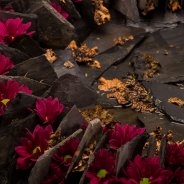 Purple Star van Zentoo in een krans van Roos van Unen Flower Factor