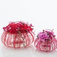 Anjer Valentijns arrangement Overview