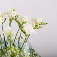 Romantic Freesia design