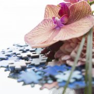 Puzzle pieces close-up