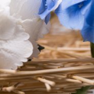 frameboeket met Hortensia close up 1 Pim van den Akker Flower Factor